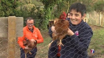 El taller Gallarreta dispone de huerto
