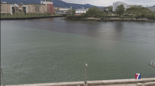 Vecinos y ecologistas afirman que la depuradora de Galindo vierte fecales a la ría