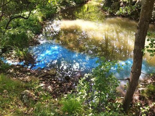 Los trabajos de pintado de unas pistas de paddle causan un vertido en el río Castaños