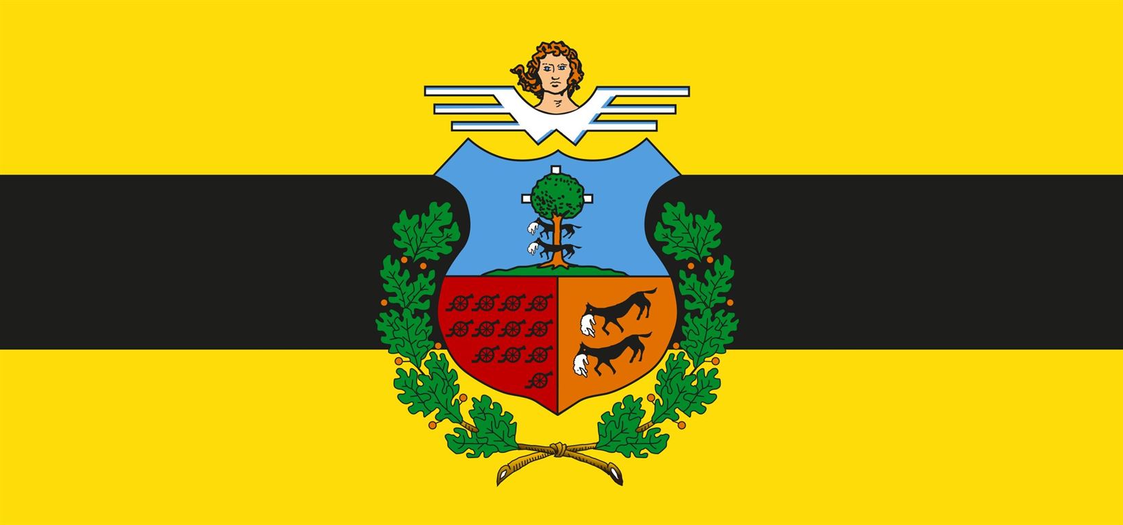 Bandera Barakaldo