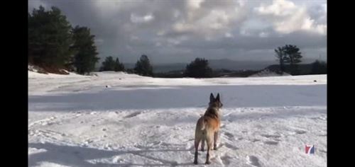 Screenshot_20230118_110130_YouTube