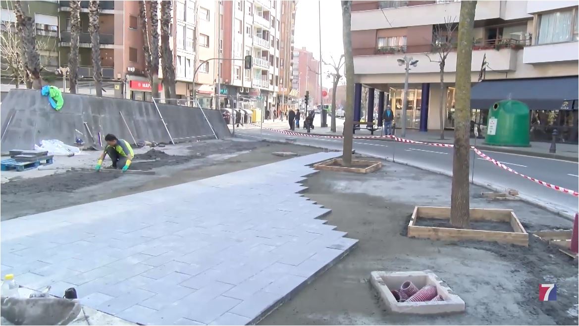 ekologistak-martxan-barakaldo-denuncia-el-cubrimiento-con-cemento-de-dos-arboles-en-bide-onera