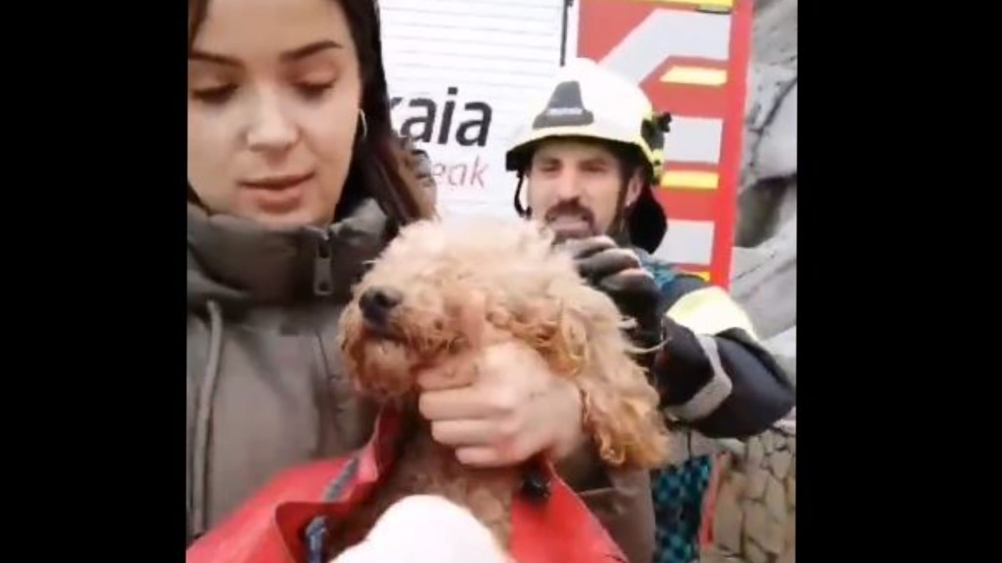 los-bomberos-rescatan-a-un-perro-de-los-acantilados-de-itsalur-en-muskiz